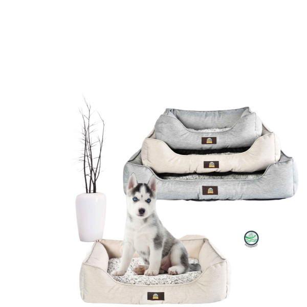 product_173314010610.png